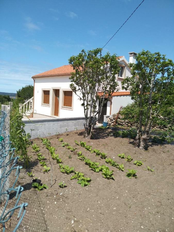 הוילה מוחיה Casa Da Fonte מראה חיצוני תמונה